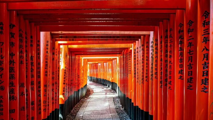 Afternoon tour: Visit Fushimi Inari Shrine and Gion District  (Public  transport)