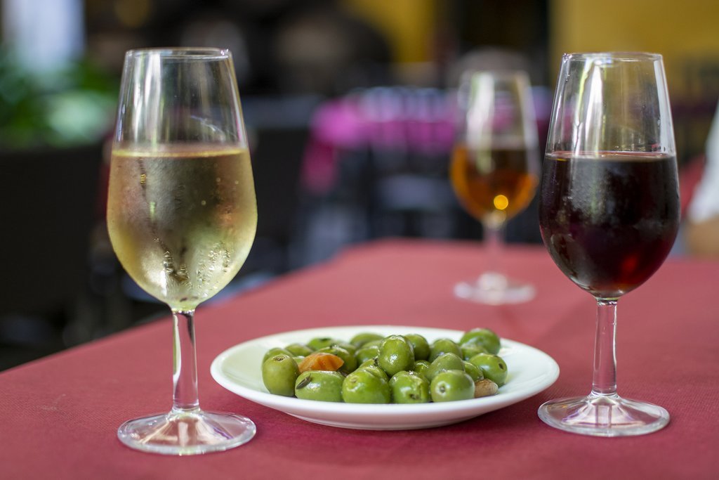Wine tasting in Basque country