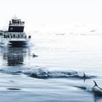 Photo from Brim Explorer