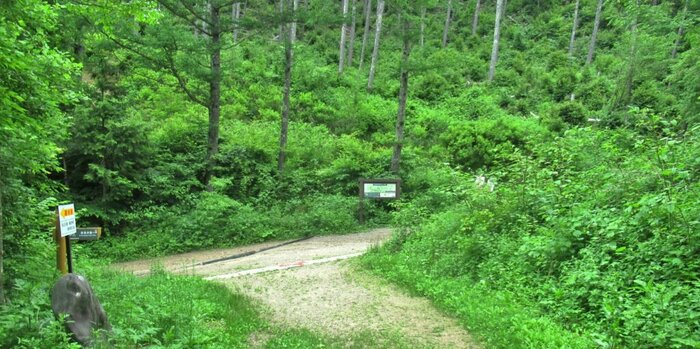 Traverse the Torii Pass to Narai