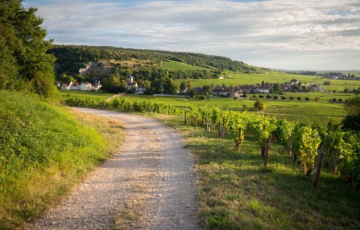 The Beaujolais Wine Route