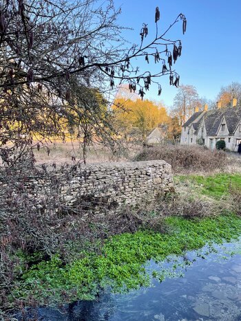 Cotswolds Tour (From London)