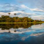 Spend time in Manaus and along the Amazon River