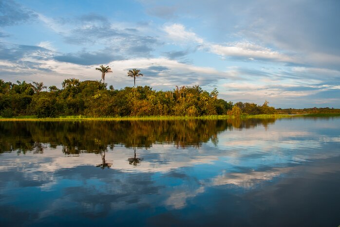 Spend time in Manaus and along the Amazon River