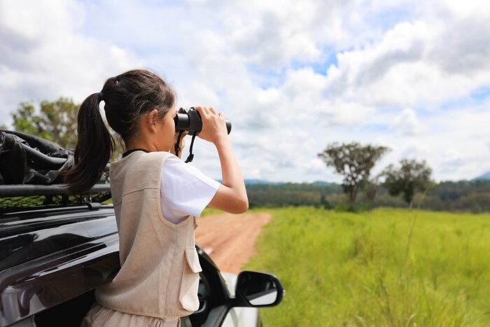 Safari adventure in South Africa