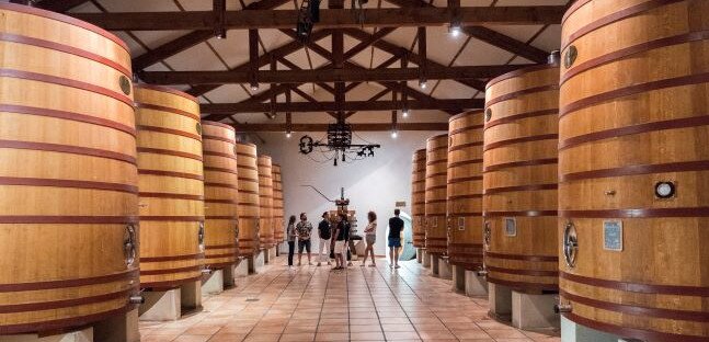 Private Afternoon Wine Tour Chateauneuf du Pape 