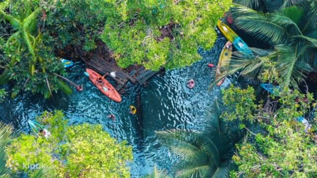 Kayaking at Khlong Nam Sai and Pinapple Farm