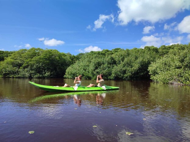 Special kayak tour in Celestún