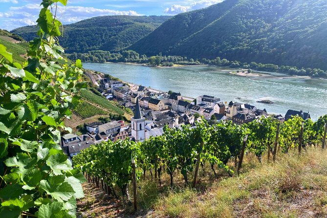 Grape Escape to the Rhine Valley Half-day tour