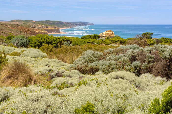 Self-Guided Port Campbell Discovery Walk