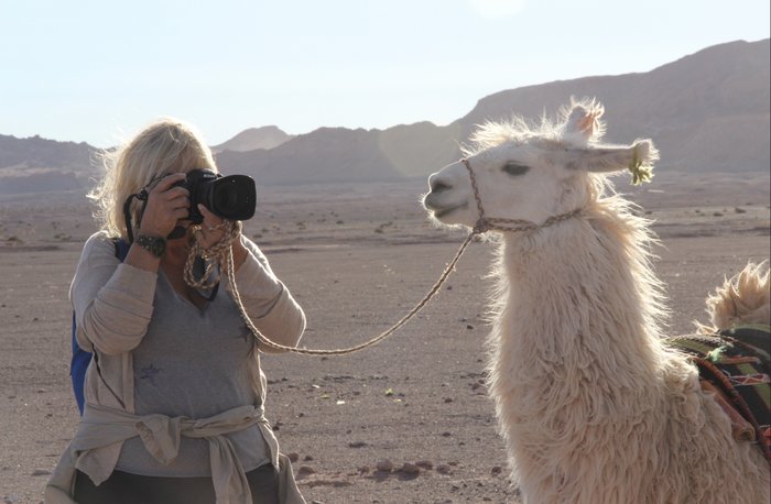 Ancestral Convoy with Llamas