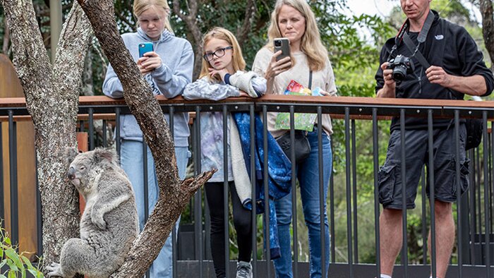 Taronga Zoo Wild Australia Experience