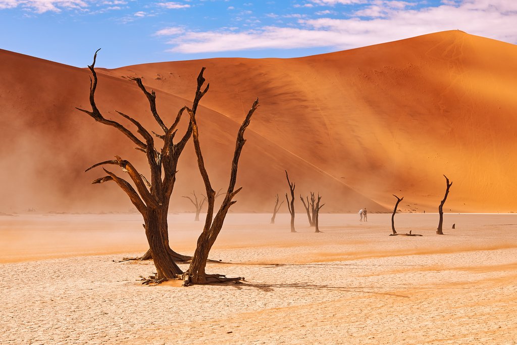 Namib Desert