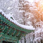 Discover the winter wonderland of South Korea on this nine-day tour