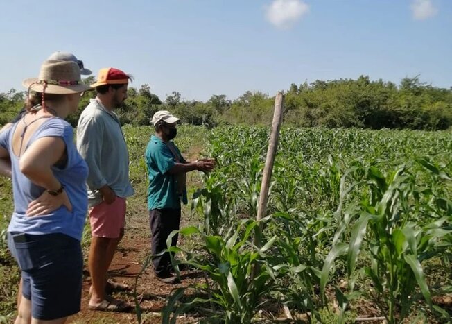 Yaxunah Mayan village