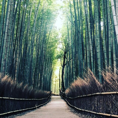 Serenity in Arashiyama: Statues, Bamboo, and Scenic Retreats