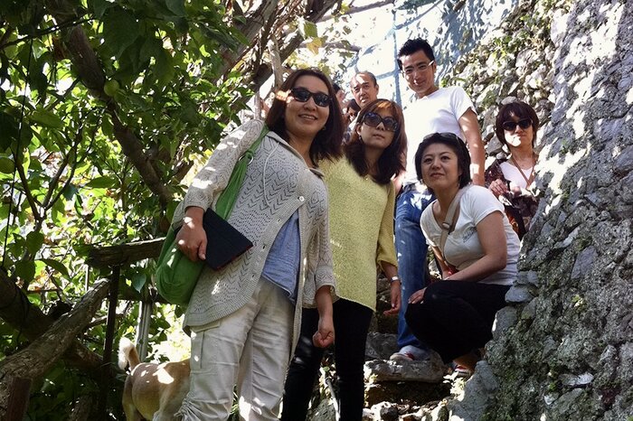 Lemon Grove Experience & Limoncello Tasting