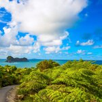 Kick off your scenic New Zealand road trip with a drive along the Coromandel Peninsula