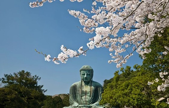 Tokyo-Kamakura-Tokyo