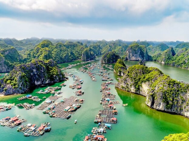 Hanoi - Tuan Chau - Lan Hạ Bay -  Cat Ba (Au Co Cruise)