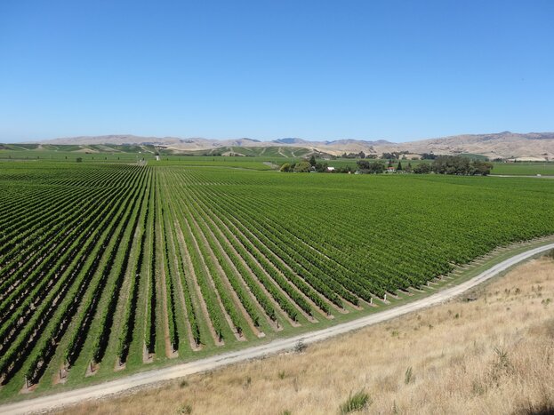 Marlborough Icons Wine Tour 