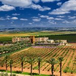 Guerrouane Region Winery Tour near Fes