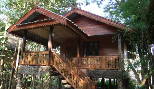 First day at Elephant Nature Park - Day care with Elephants (join-in activity)