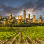  With your rental car, you'll have the freedom to explore wineries in Tuscany