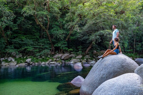 Full Day Daintree Rainforest Tour