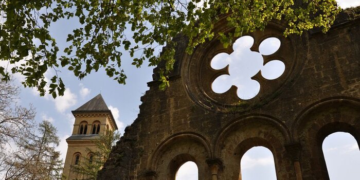 Visit the Trappist breweries of Orval and Rochefort 