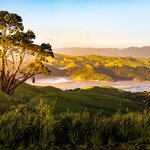 Drive at your own pace around the scenic Coromandel Peninsula