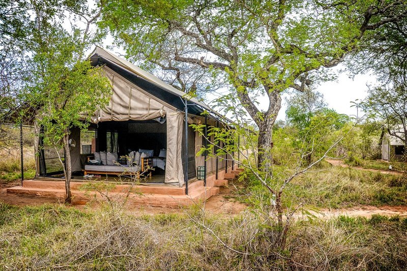 The tented camp at Manyeleti Game Reserve