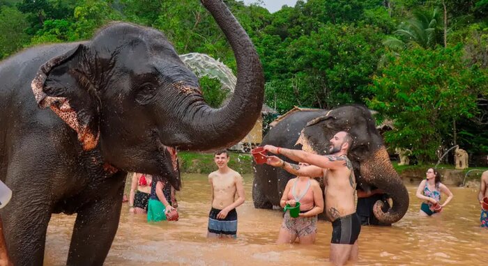 Phuket Elephant Sanctuary 