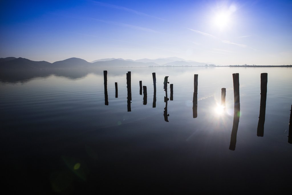 Shores of Lake Massaciuccoli