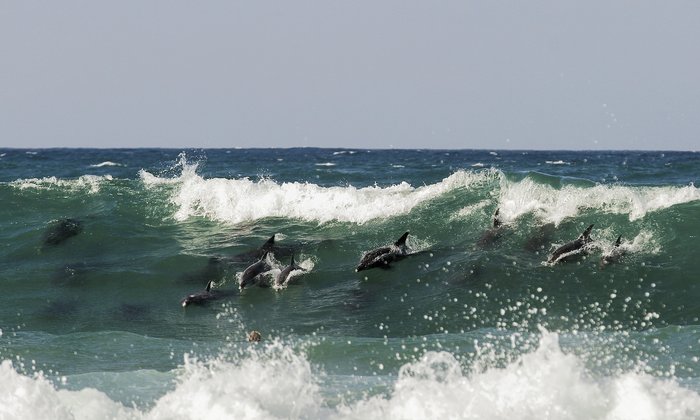 Jeffreys Bay, South Africa