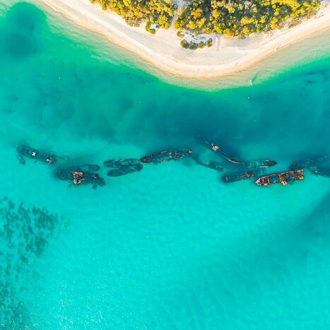 Tangalooma Snorkel the Wrecks Day Cruise with Bus Transfers from Brisbane