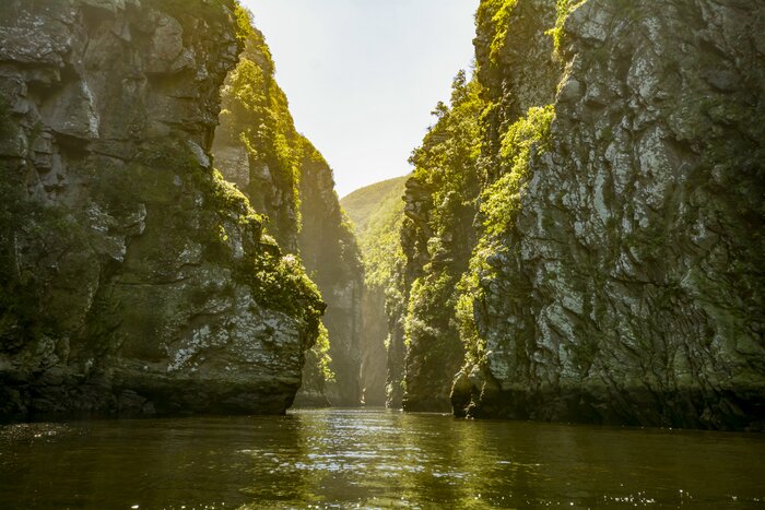 Make scenic stops along the Garden Route, including Tsitsikamma National Park