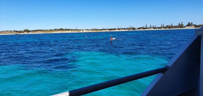 Discover Rottnest Tour (incl. Lunch)