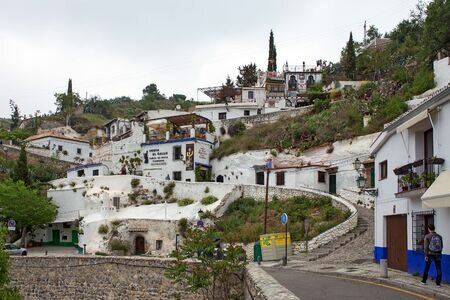 Sacromonte and Albayzin tour