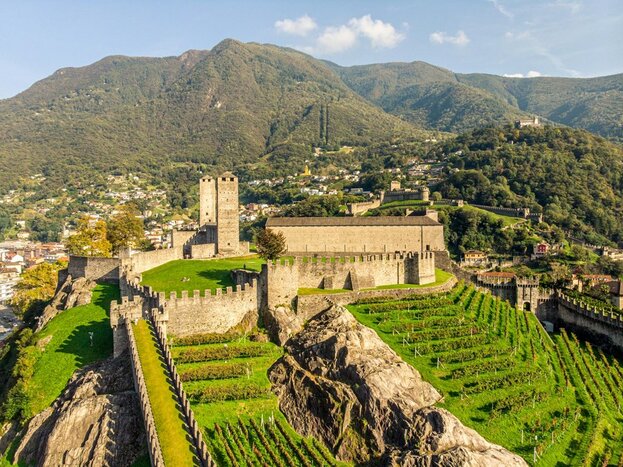 Bellinzona Private Walking Tour with Professional Guide