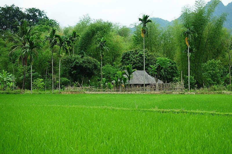 Mai Chau Village