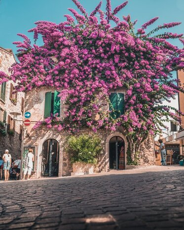 Day trip to Lake Garda: Sirmione, Malcesine, Cable Car to Monte Baldo