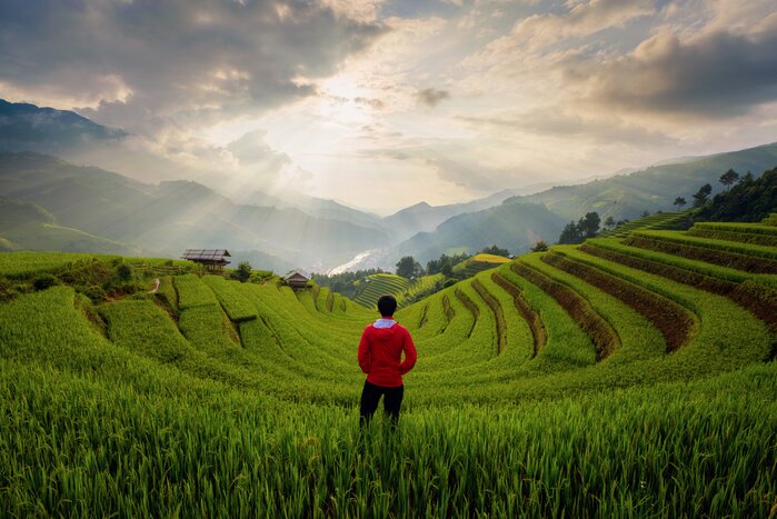 Hike to traditional villages in the terraced hills of Sapa