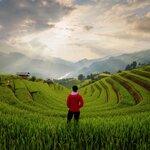 Hike to traditional villages in the terraced hills of Sapa