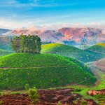Explore the heart of Sri Lanka's hill country during this nine-day tour