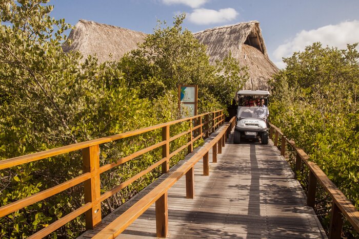 Departure from the Islands (Hotel Las Islas)