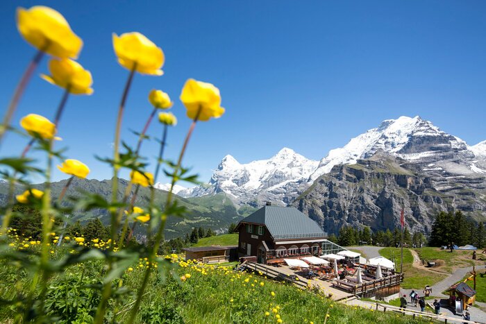Welcome to Mürren