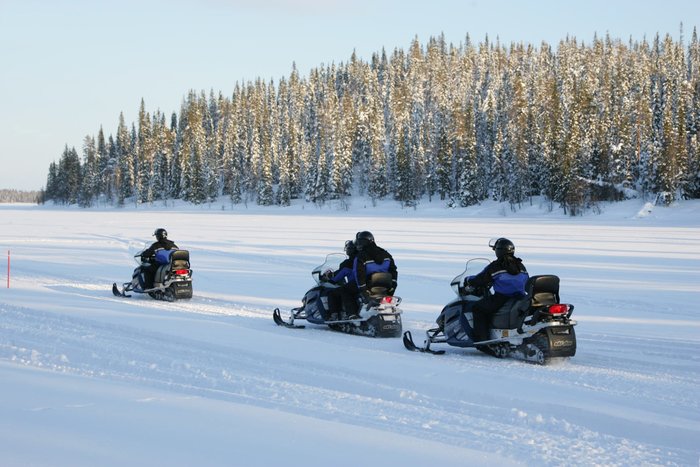  Snowmobile Safari from Riverside Lodge
