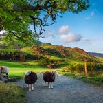 Your outdoor adventures start in the heart of England's spectacular Lake District