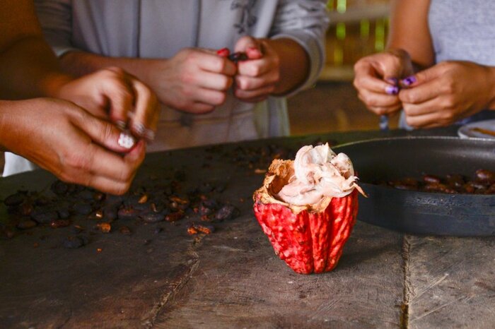 Morning Chocolate Experience & Farewell from the Amazon - Suchipakari Lodge 